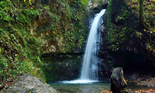御岳山にある七代（ななよ）の滝の写真。澄んだ水をたたえた滝壺に向かって水が流れ落ちている。滝の周囲は苔むした岩盤になっている。