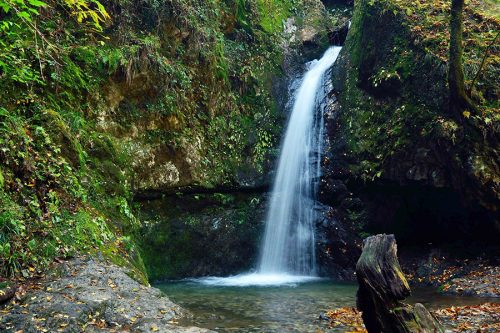 御岳山にある七代（ななよ）の滝の写真。澄んだ水をたたえた滝壺に向かって水が流れ落ちている。滝の周囲は苔むした岩盤になっている。
