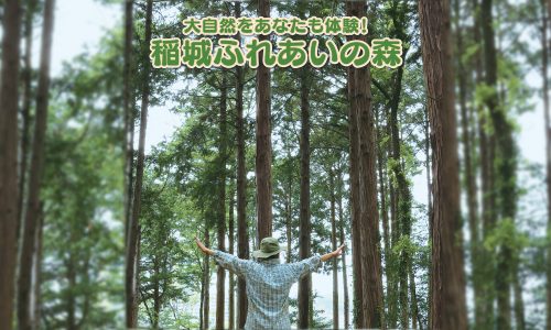 稲城ふれあいの森サムネイル画像