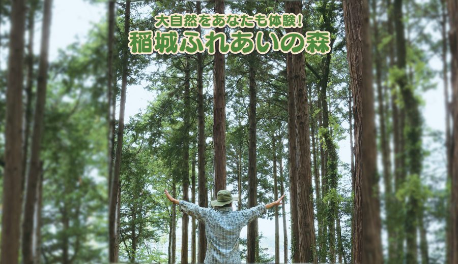 稲城ふれあいの森サムネイル画像