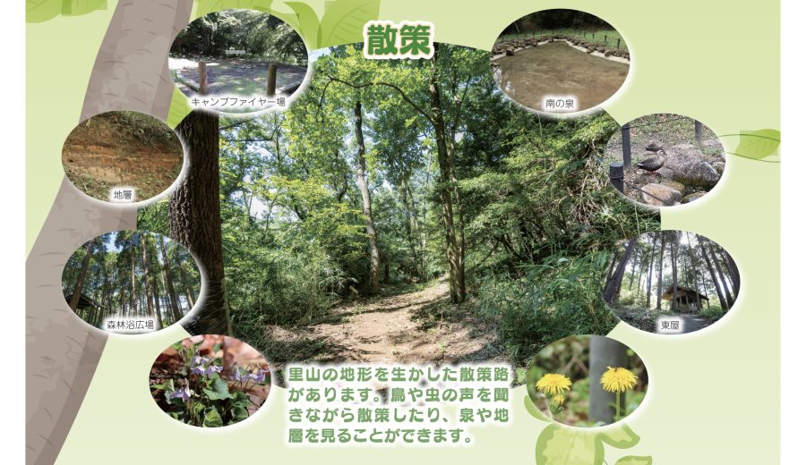 稲城ふれあいの森　散策画像