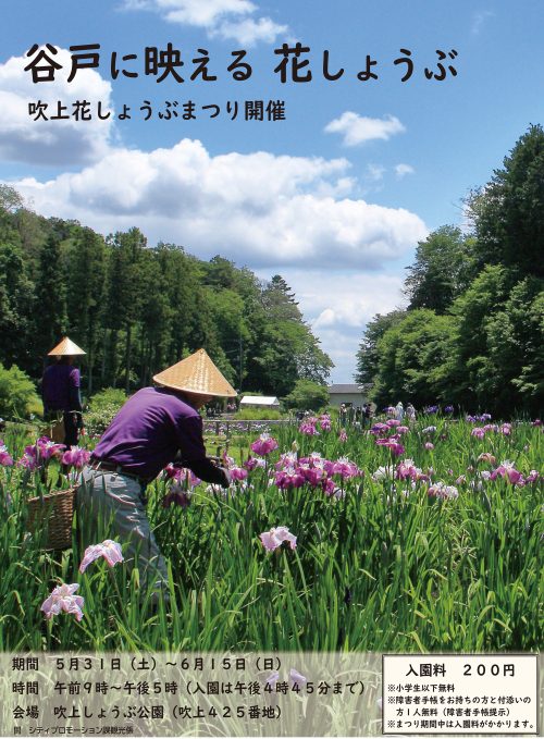 吹上花しょうぶまつり記事表面