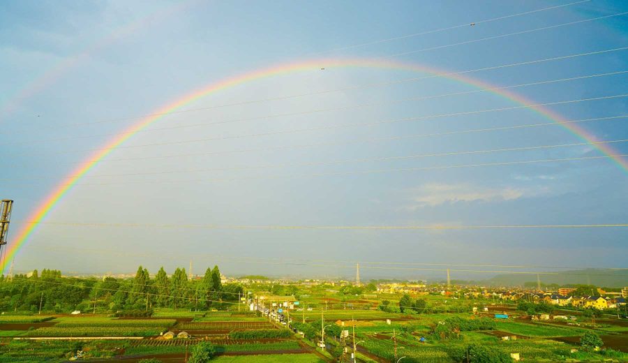 あきる野市役所からの風景。農地の上の開けた空に大きな虹がかかっている。