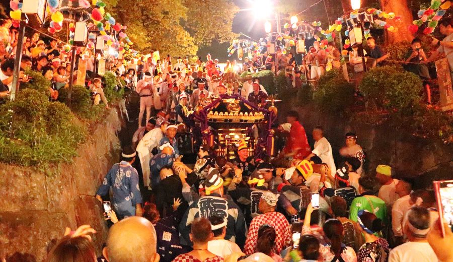 あきる野市二宮神社で行われる生姜祭りのクライマックスでお神輿が階段を上がる様子（あきるの三大まつり）
