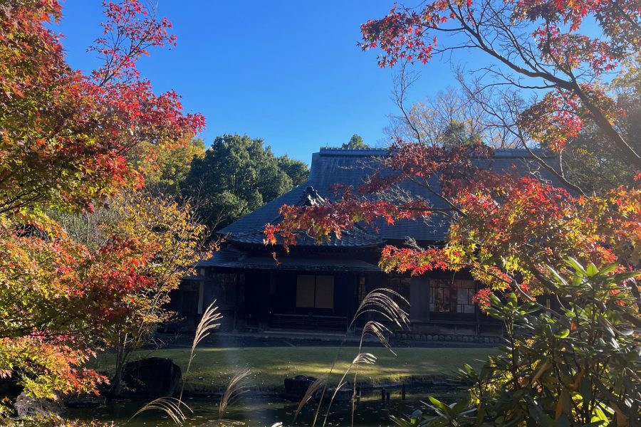 旧富澤家住宅　紅葉の写真