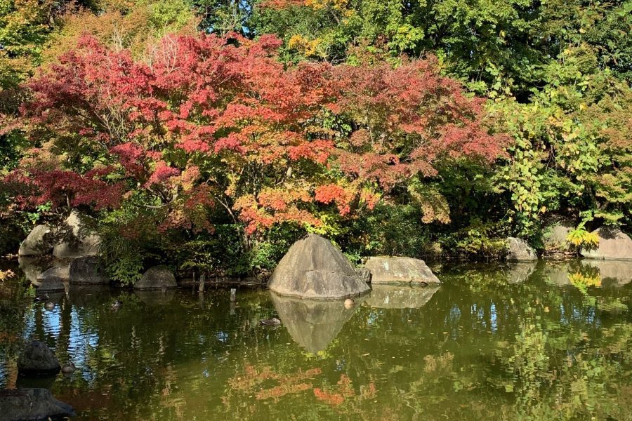 多摩中央公園