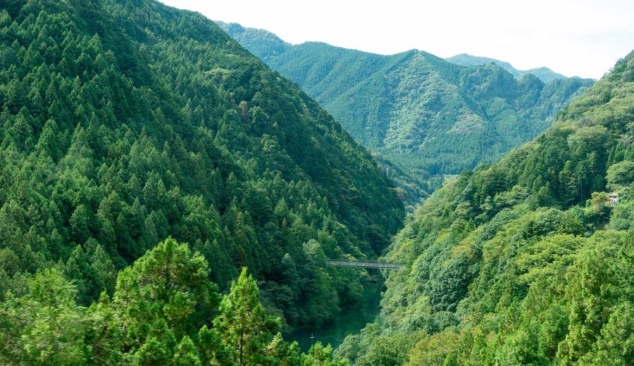 奥多摩町の白丸湖。急峻な山に挟まれた細長い湖の湖面でSUPを楽しむ人の姿が見える。