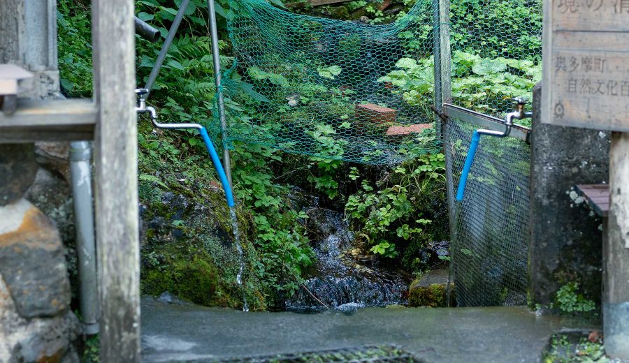 奥多摩町の湧水「境の清泉」。湧水が流れ続ける蛇口が2口あり、脇の斜面では湧き水を活かしたわさび栽培が行われている。
