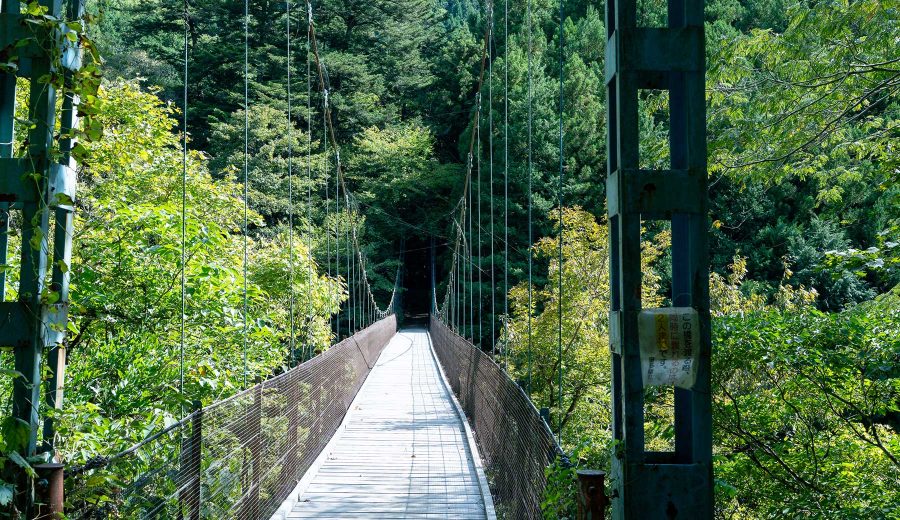 奥多摩町のしだくら吊り橋をむかし道側からのぞいた様子。ワイヤーやネットで支えられた吊り橋が、緑の木々の間で真っ直ぐ対岸に向かって伸びている。