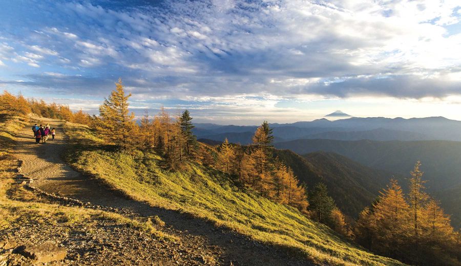 秋の雲取山の様子。見晴らしのいい尾根に沿った山道の脇に秋色の木々が立ち並び、周囲の山が折り重なった先で雲の上から富士山が小さく見えている。