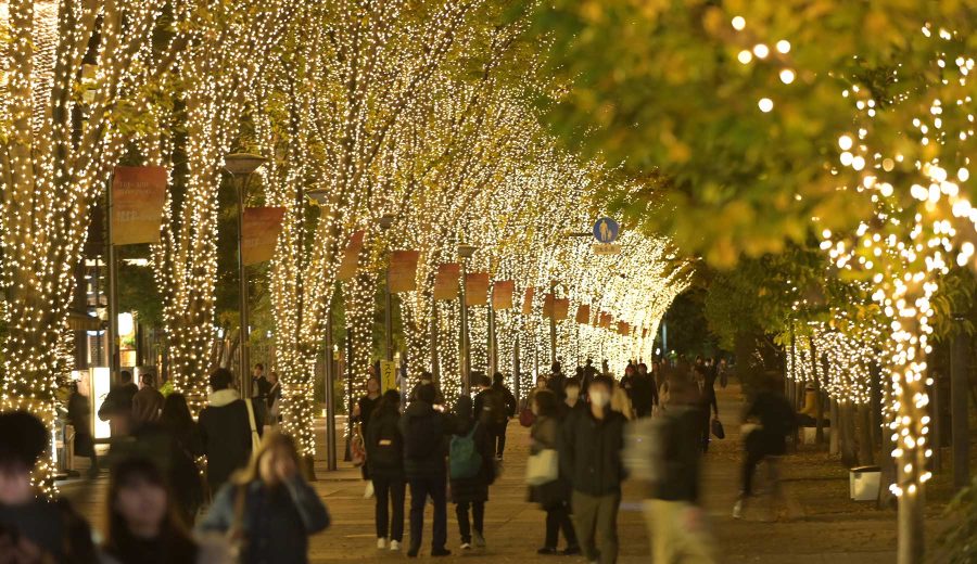 2025 たちかわイルミネーションの様子。歩行者が行き交う通り沿いに無数のイルミネーションを纏った木々が立ち並ぶ