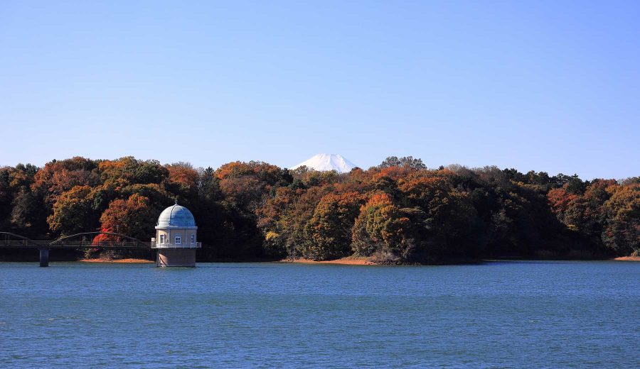 紅葉の時期の多摩湖の写真。湖面にドーム状の取水塔が見え、その奥に対岸の紅葉と富士山が見える