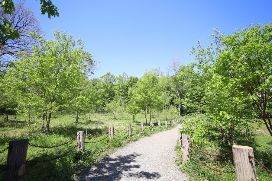 西原自然公園の写真