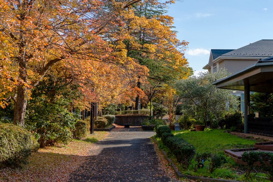 紅葉した通り道