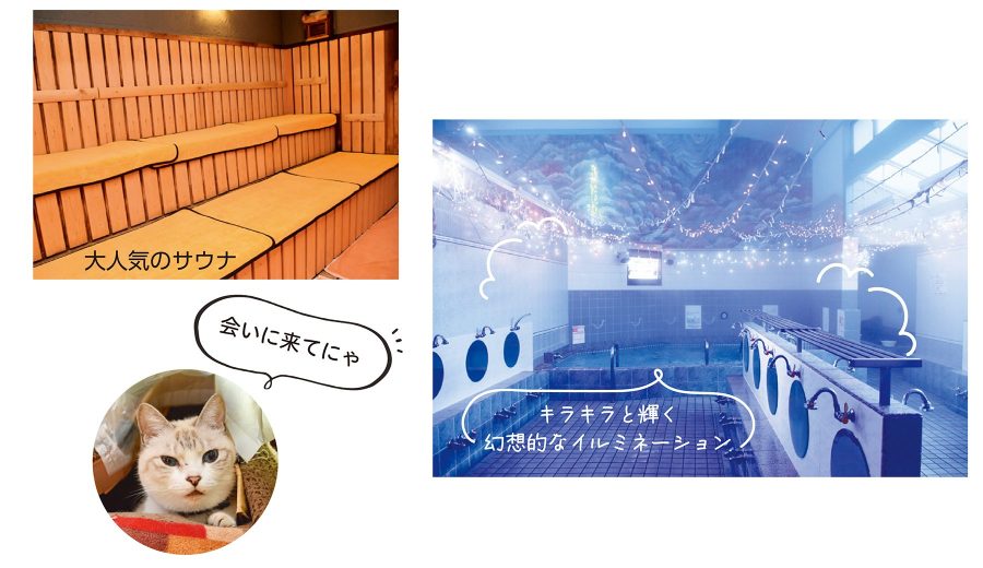 お湯どころ野川