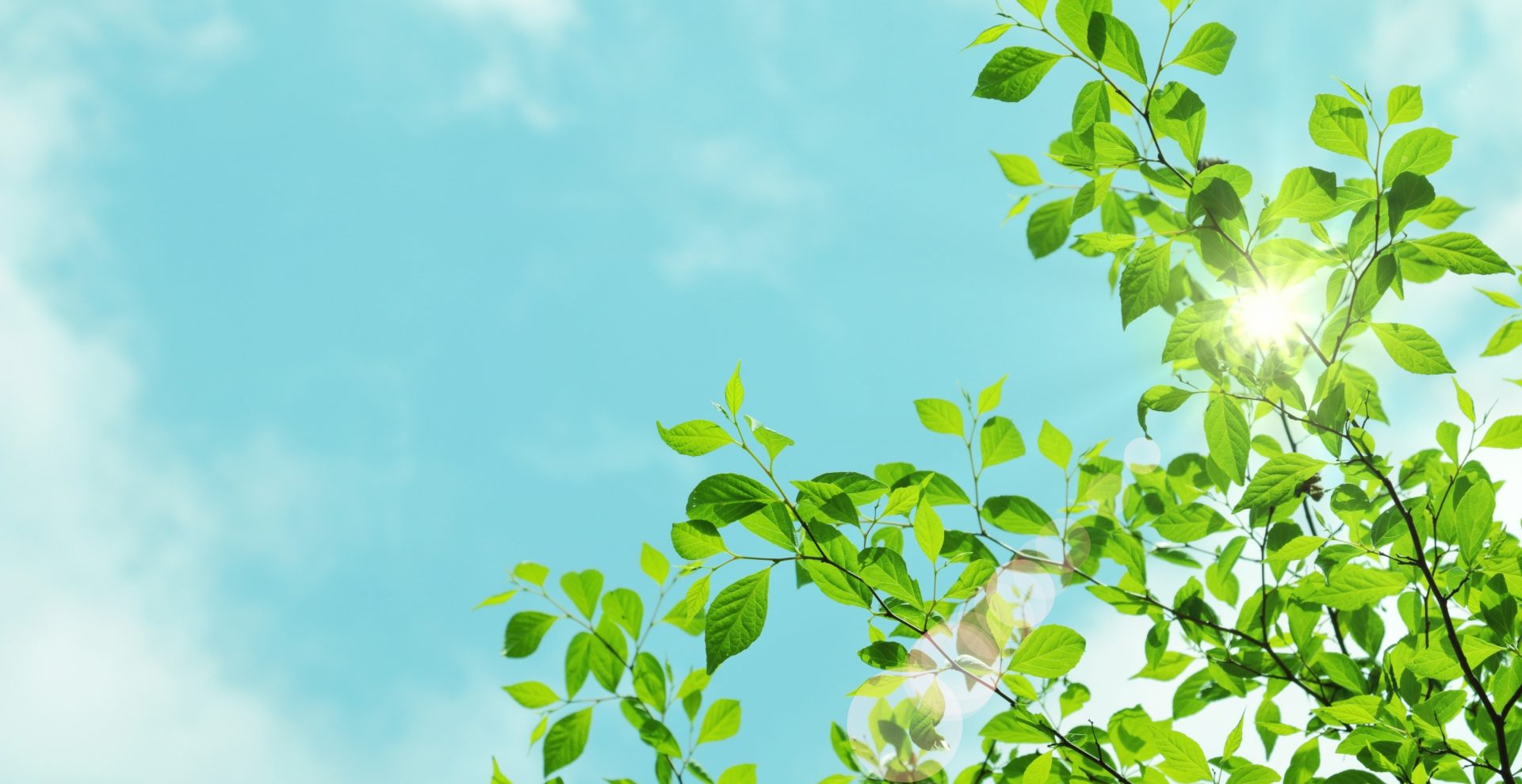 キレイな空気のイメージ