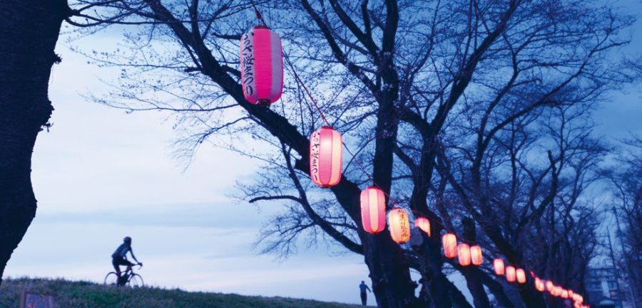 ふっさ桜まつり2026