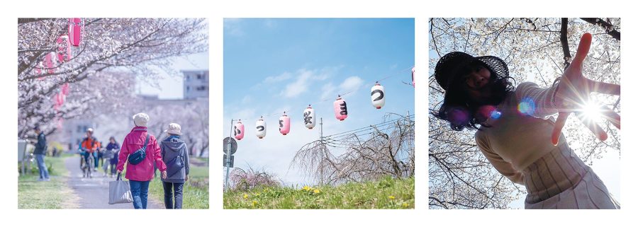 ふっさ桜まつり2026