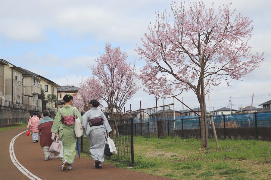 桜の回廊メインビジュアル