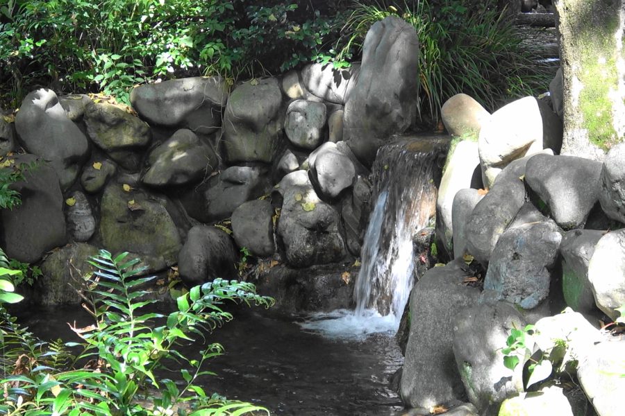 諏訪神社の湧水