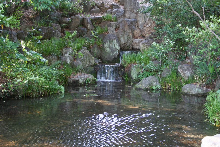 龍津寺の湧水画像
