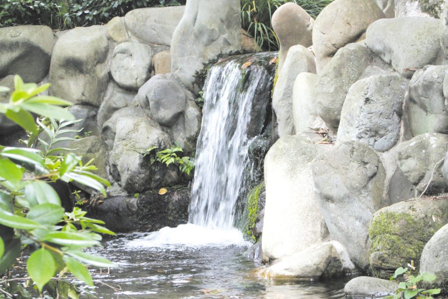 諏訪神社の湧水画像