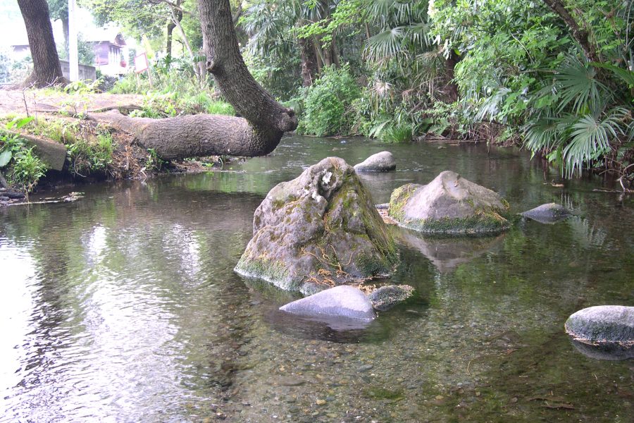 南沢湧水の画像