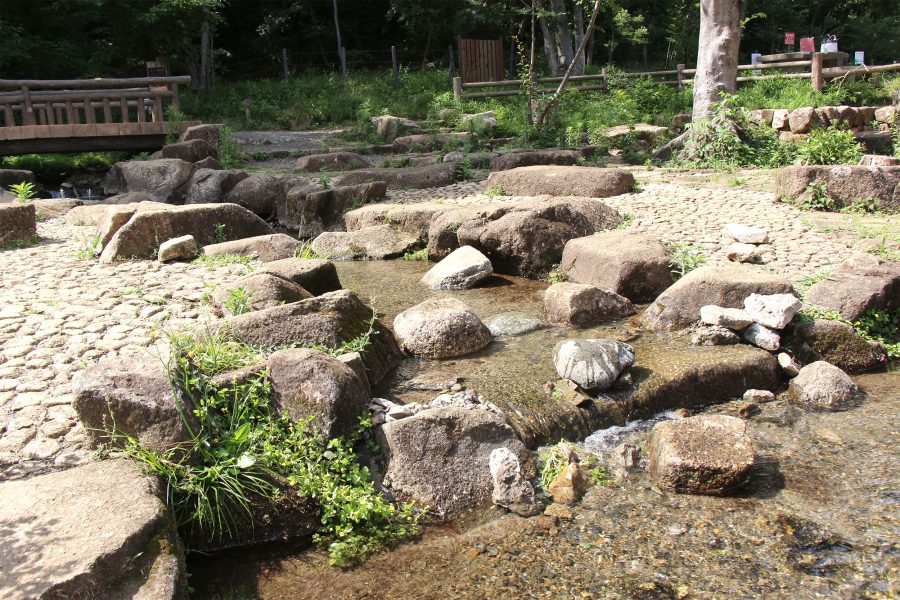 黒川清流公園の画像