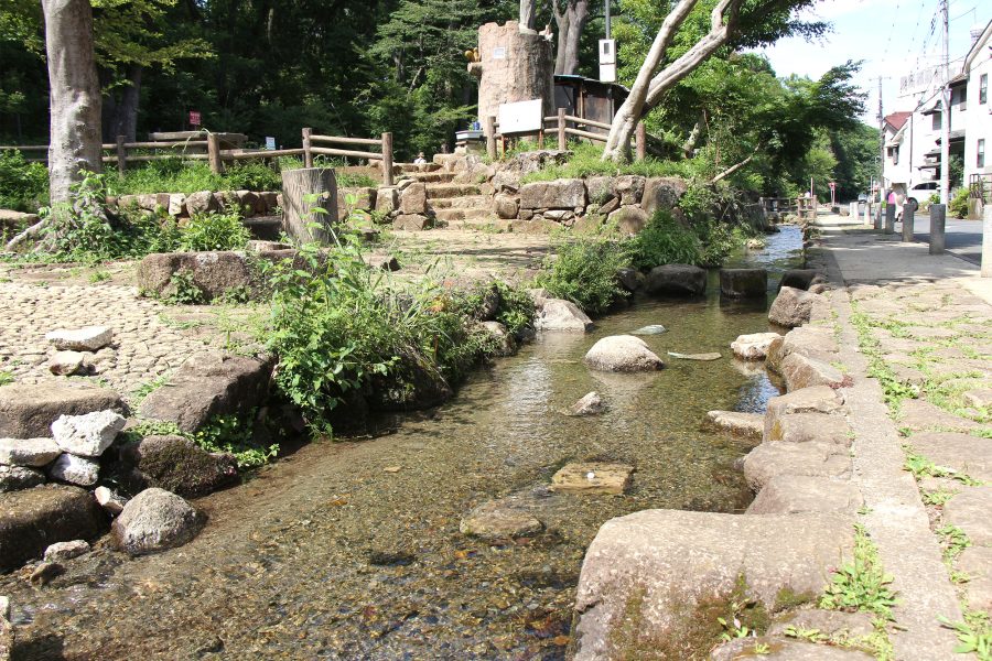 黒川清流公園の画像