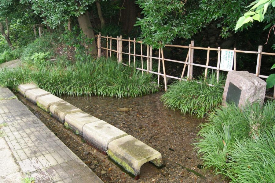 水辺の画像