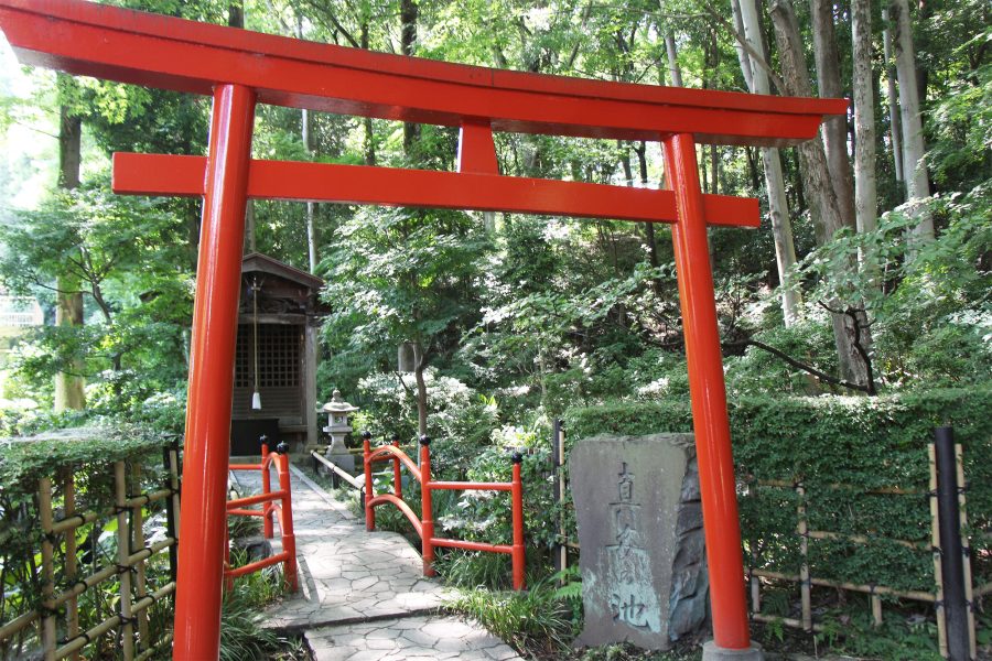 真姿の池