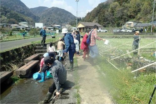 8月の講座 西丹沢の用水路で生きもの探し